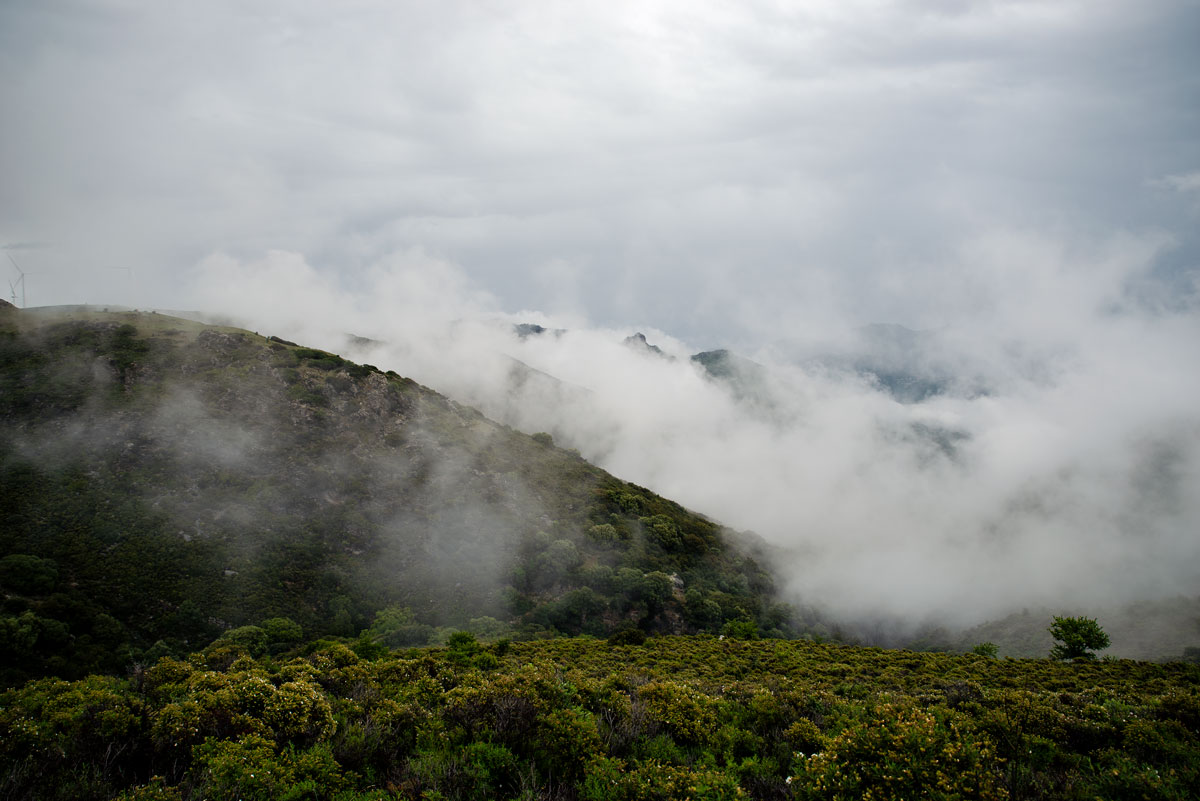 Fog in the Hills, Sardinia