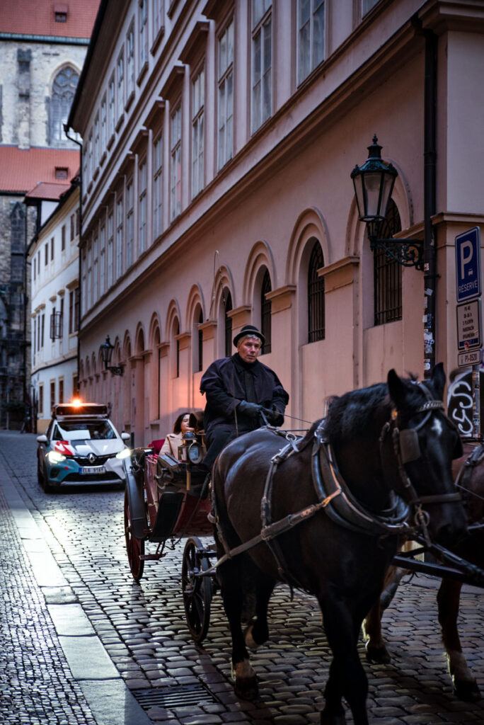 Carriage Driver in Prague
