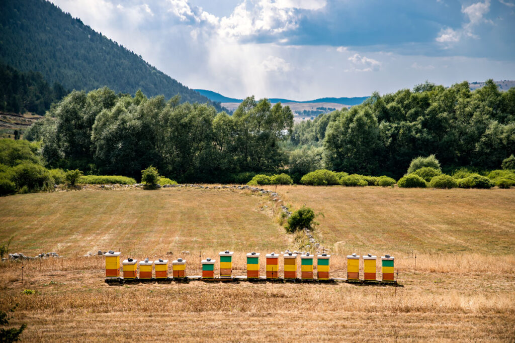 Blidinje Nature Park