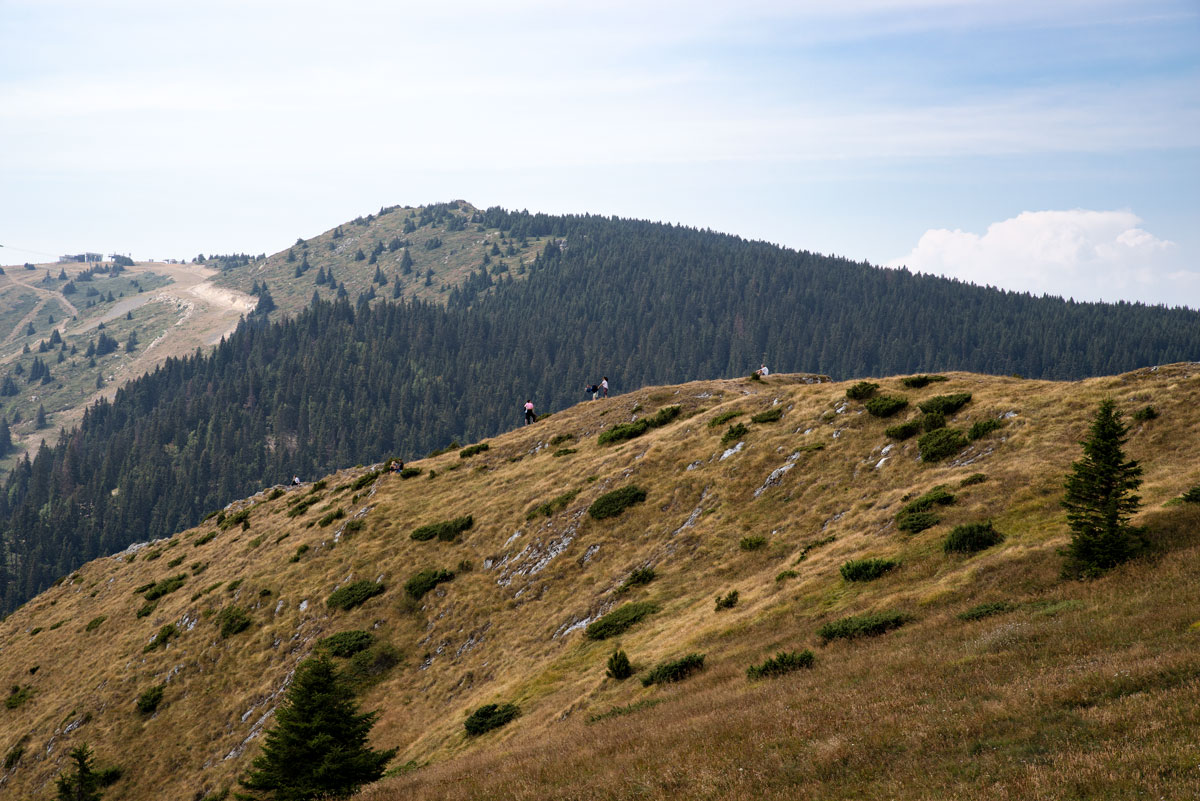 Golija National Park