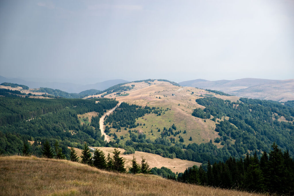 Golija National Park