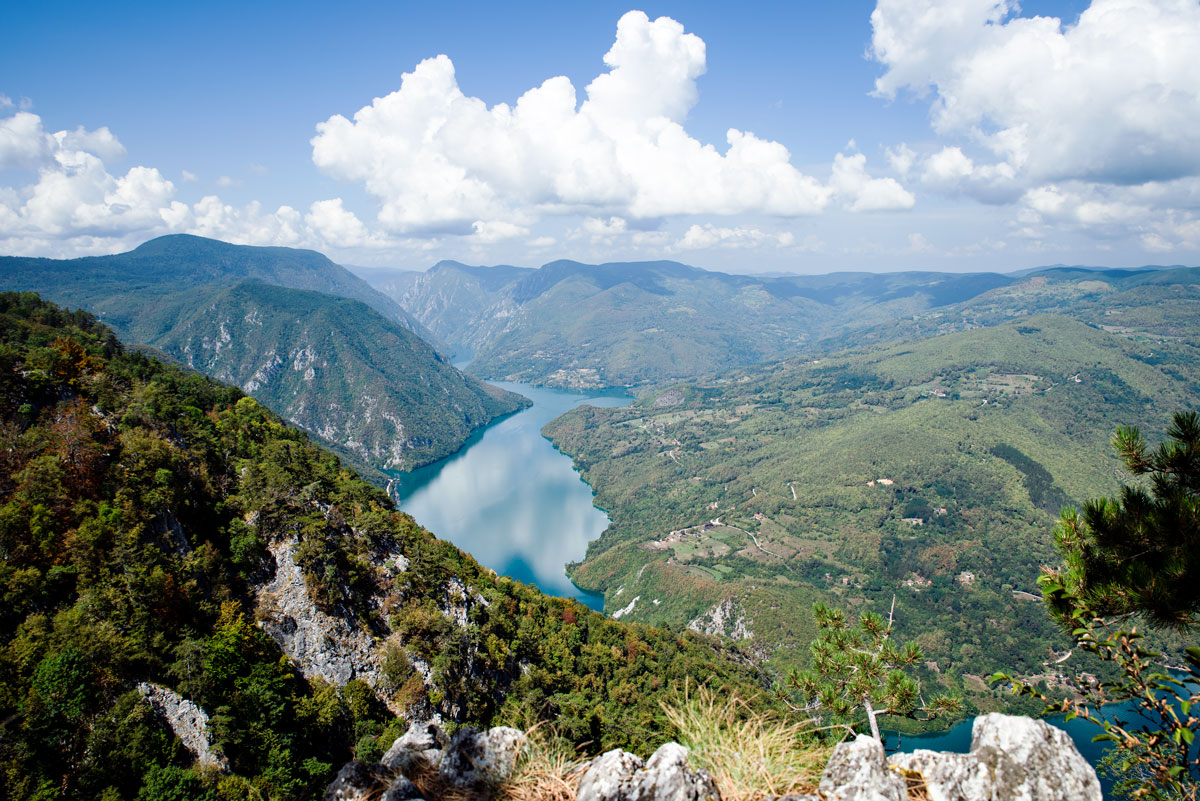 Tara National Park in Serbia