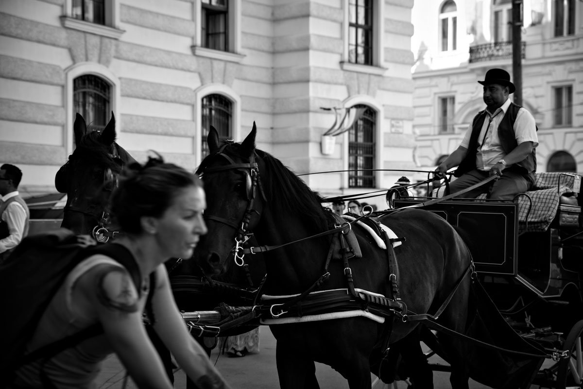 Carriage in Vienna