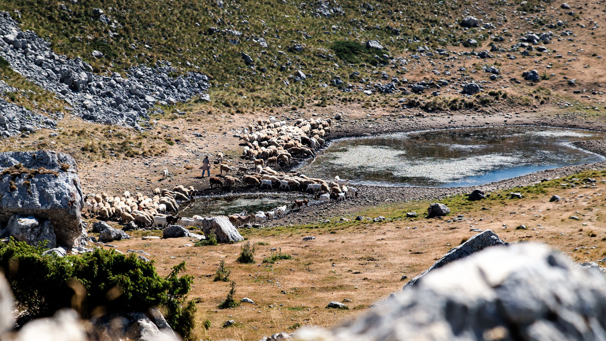 Nationalpark Durmitor