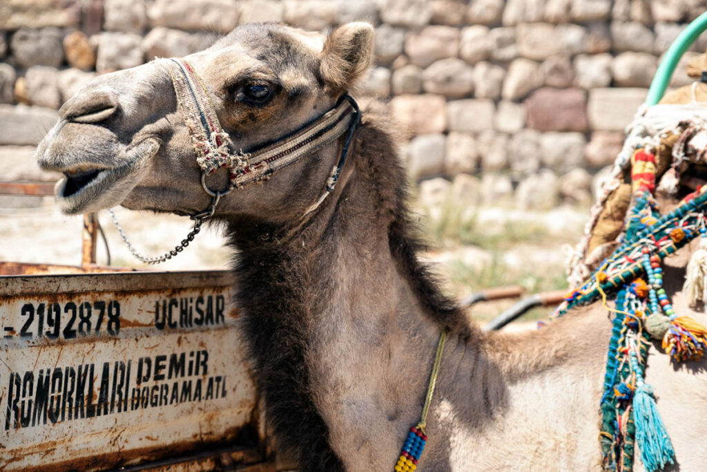 Göreme in Turkey