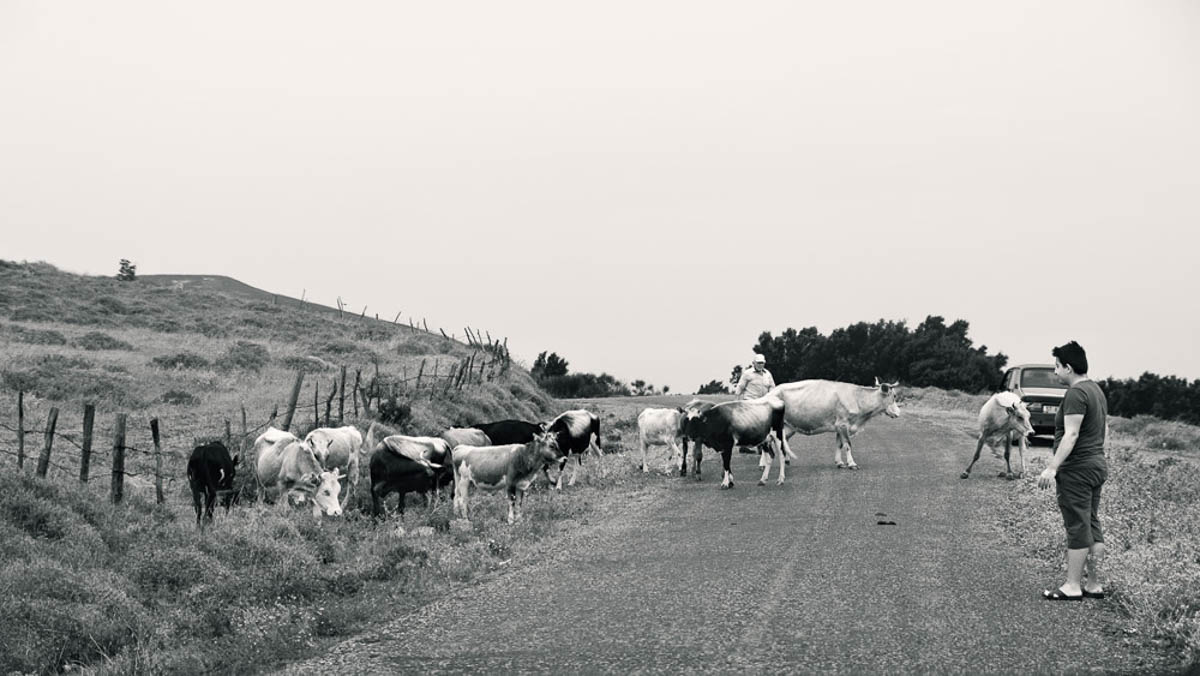 At the Northern Coast of Turkey