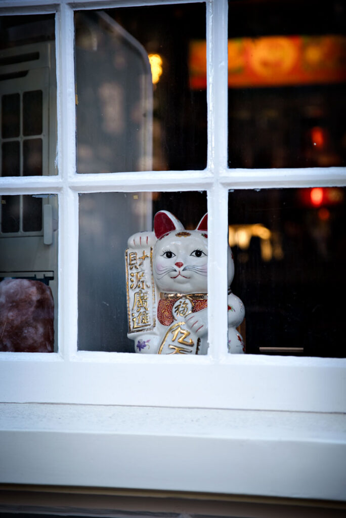 Lucky Cat in Amsterdam