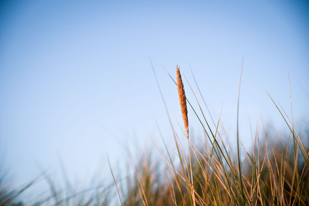 Strand van Katwijk aan Zee, Netherlands