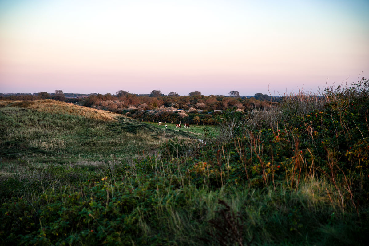 Strand van Katwijk aan Zee, Netherlands