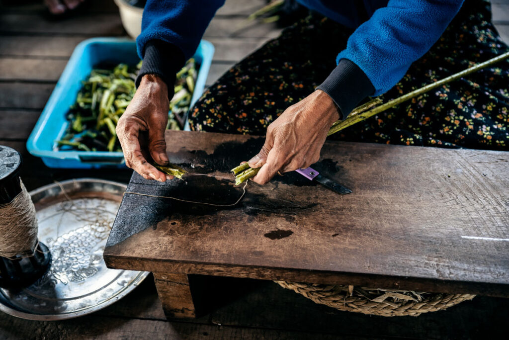 Silk Production at Inle-Lake