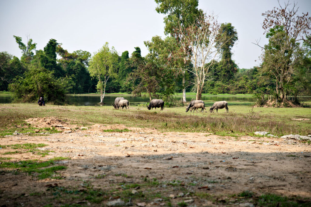 Prasat Tamnak Sai