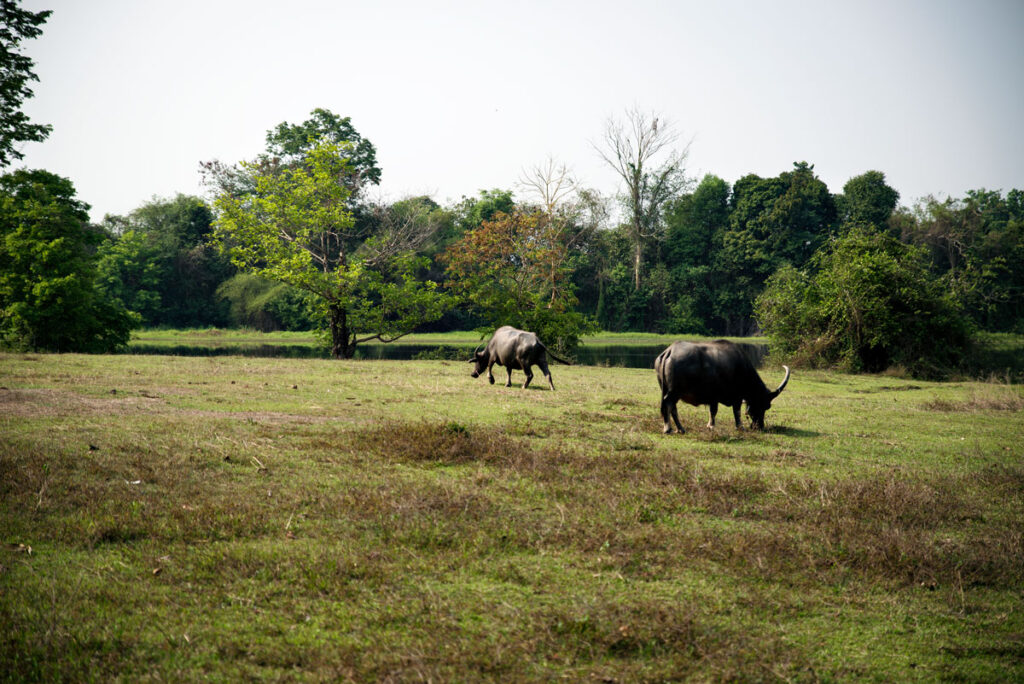 Prasat Tamnak Sai