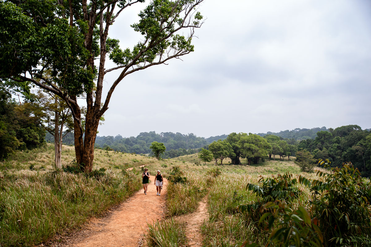 Khao Yai Nationalpark