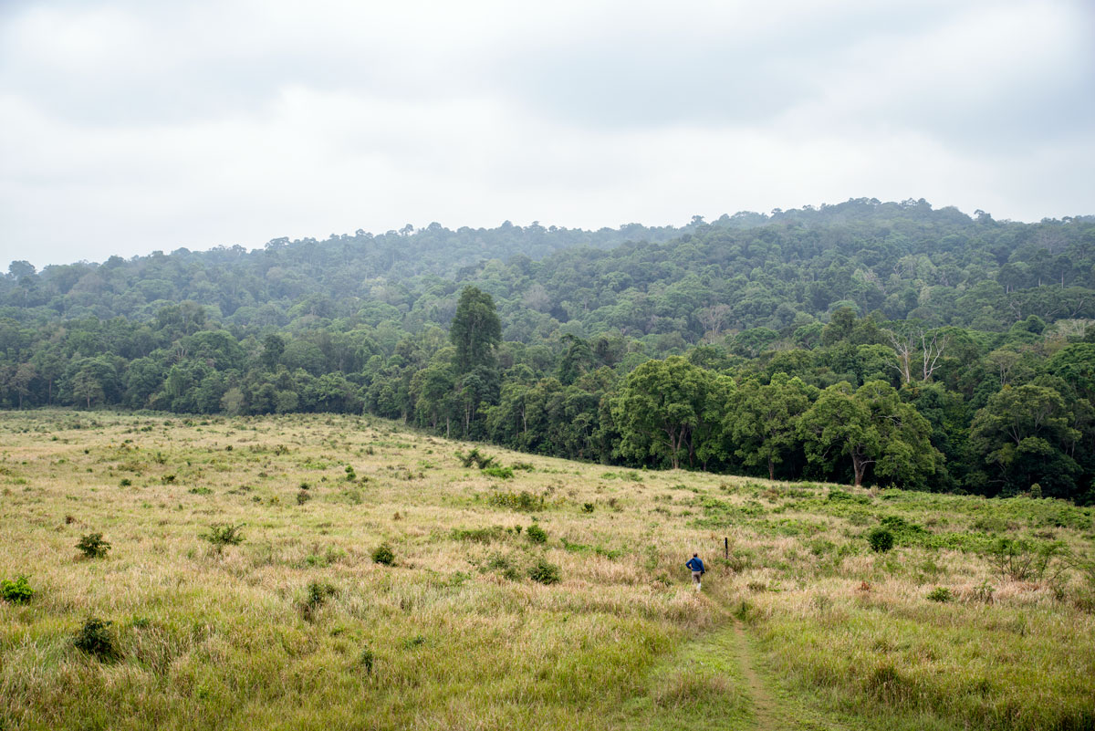 Khao Yai Nationalpark