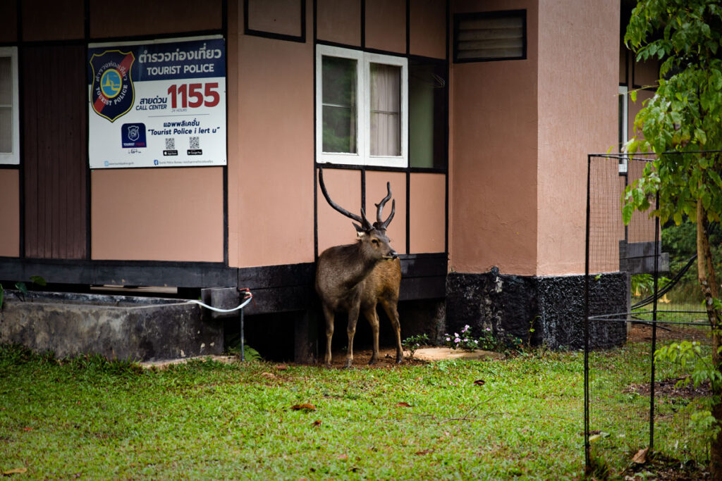 Khao Yai Nationalpark