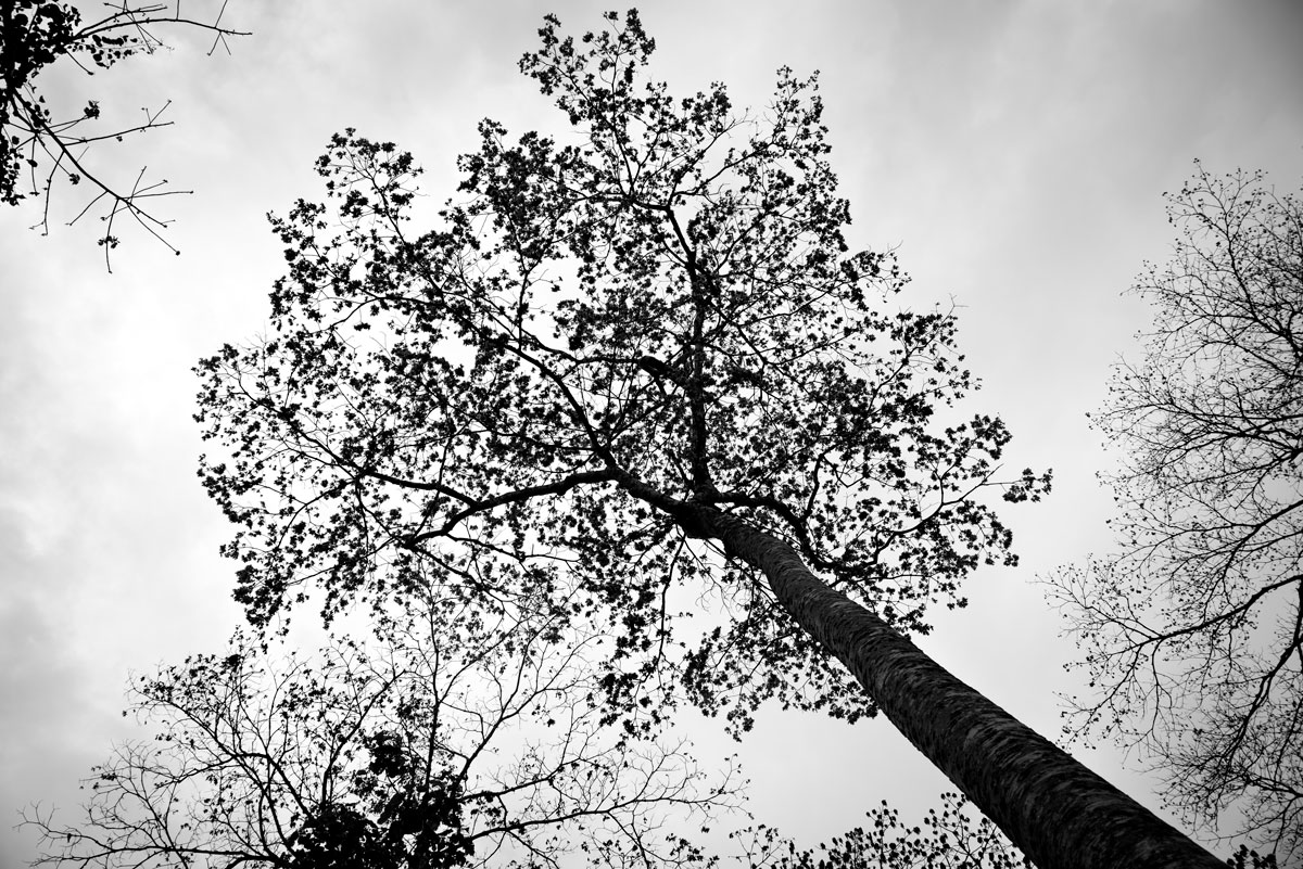 Khao Yai Nationalpark