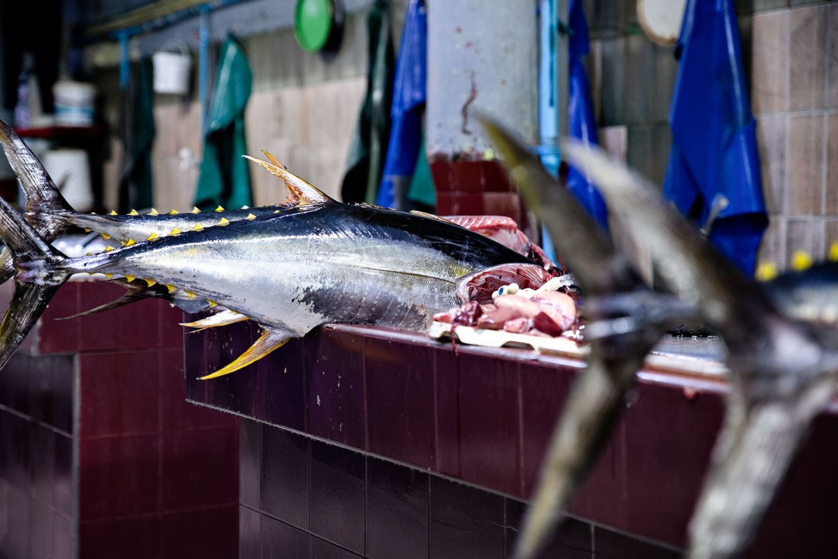 Fishmarket in Malé