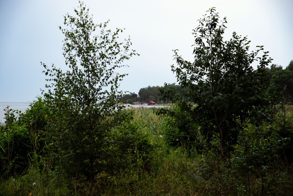 Femöre Naturreservat