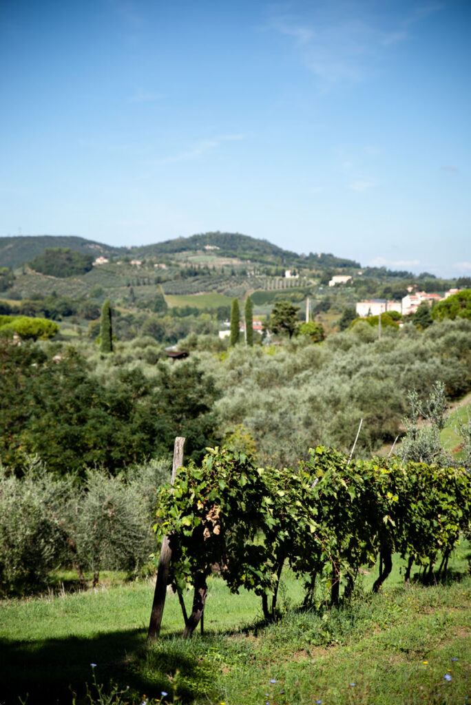 Landscape in Toscana