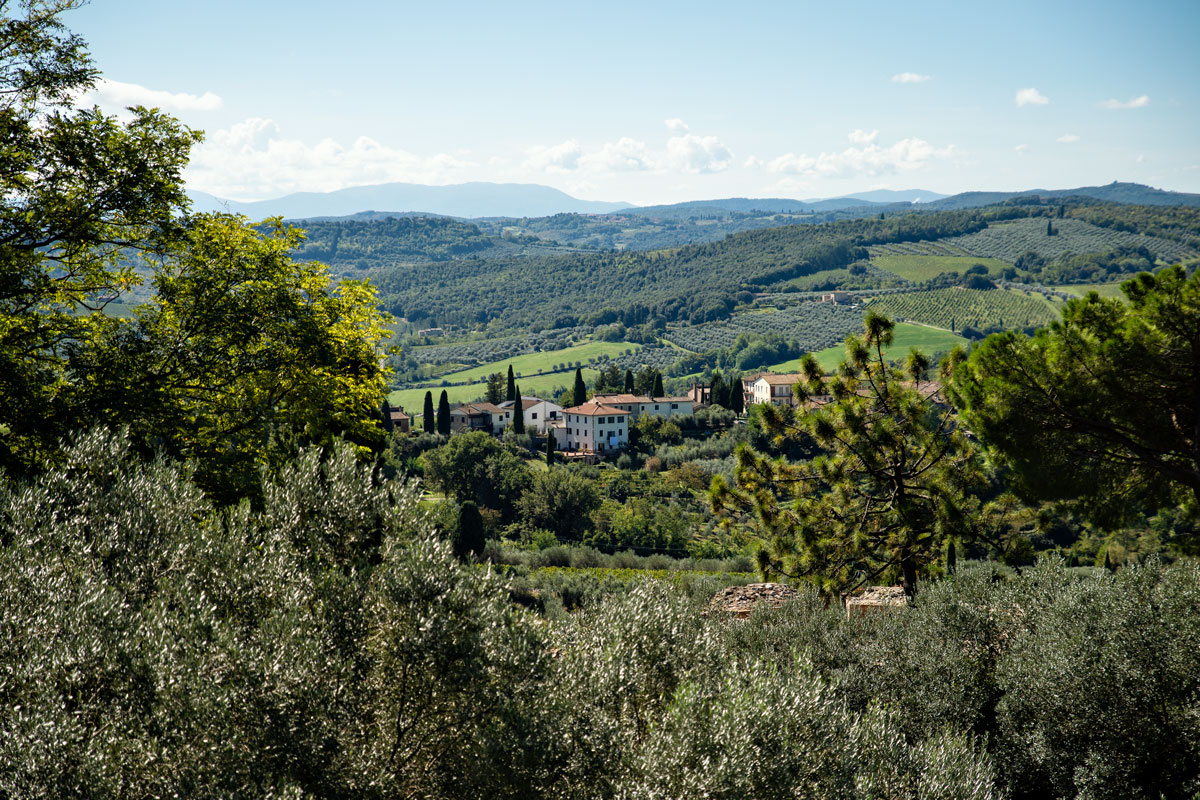 Landscape in Toscana