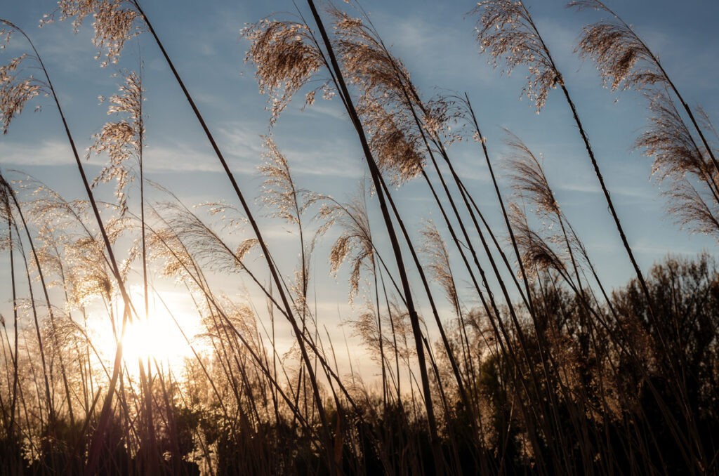 Springtime in Gießen, Germany