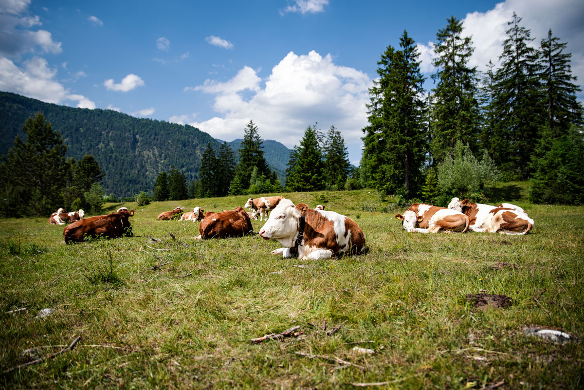 Kufluchtwasserfälle in Bavaria