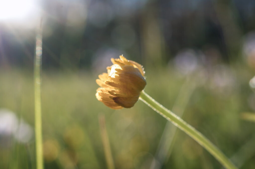 Springtime in Gießen, Germany