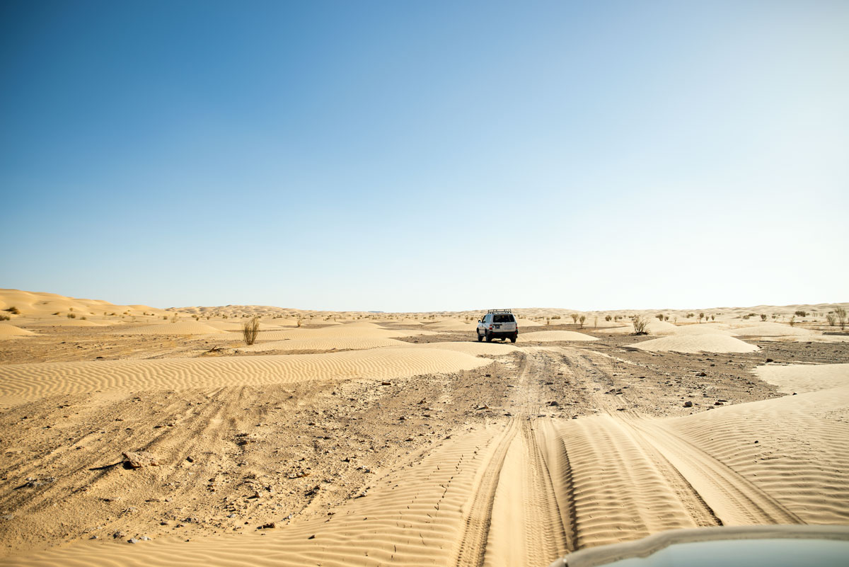 Trip to Sahara-Desert