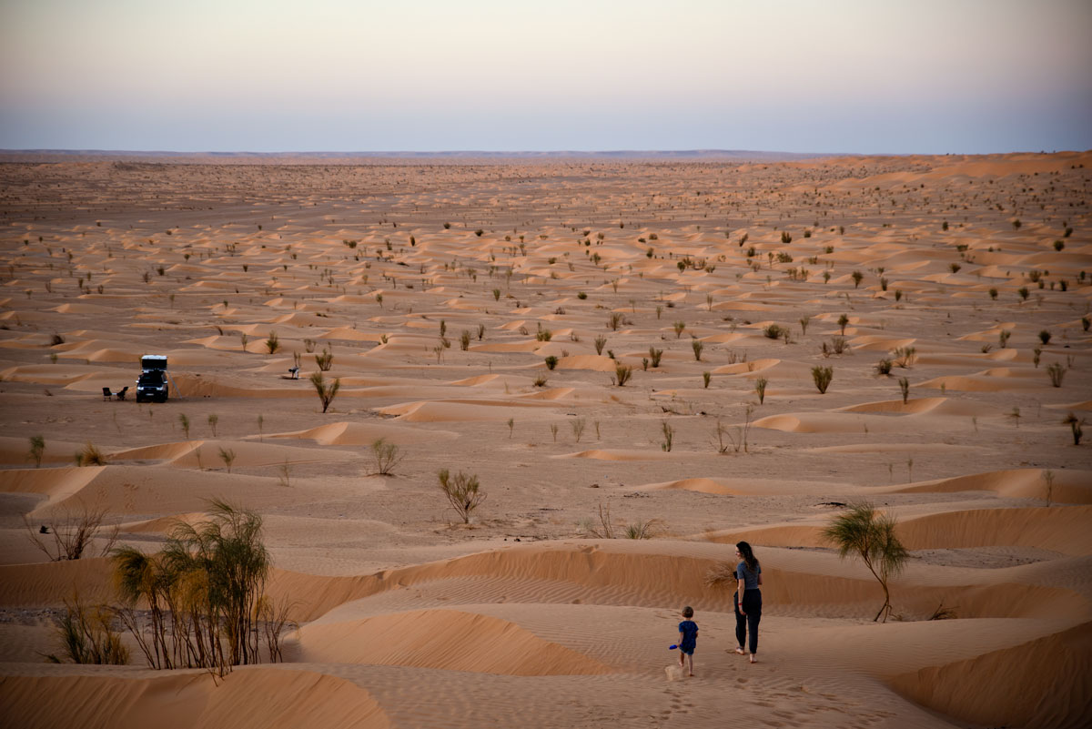 Trip to Sahara-Desert