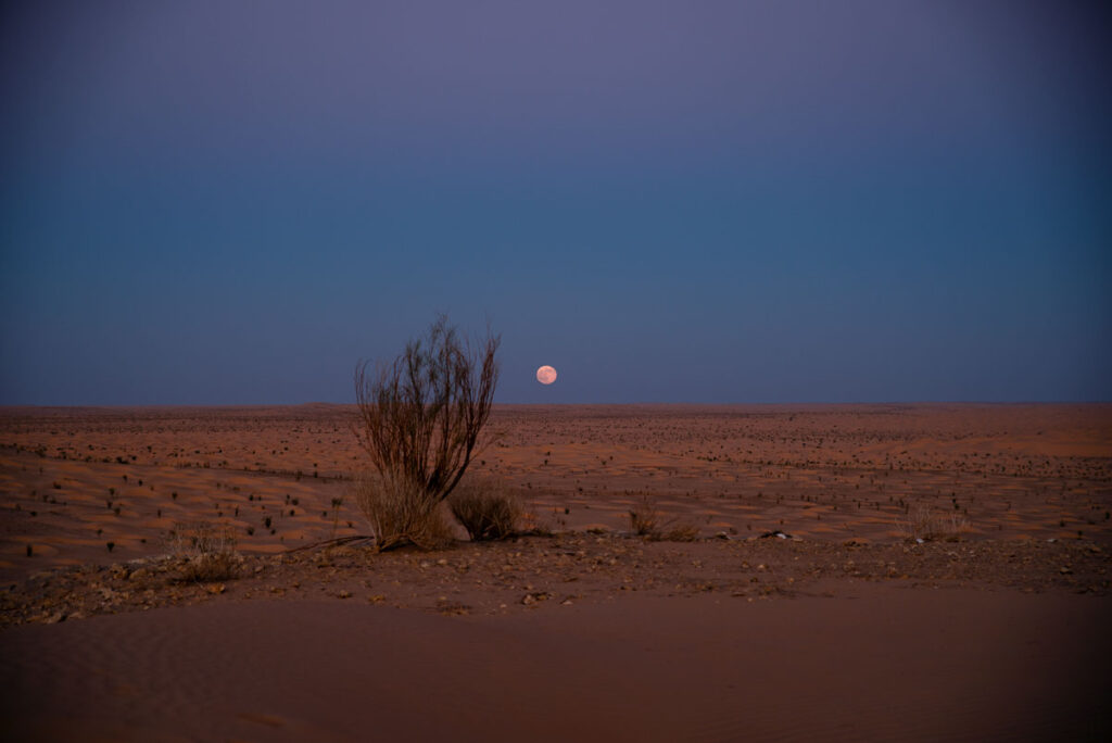 Trip to Sahara-Desert