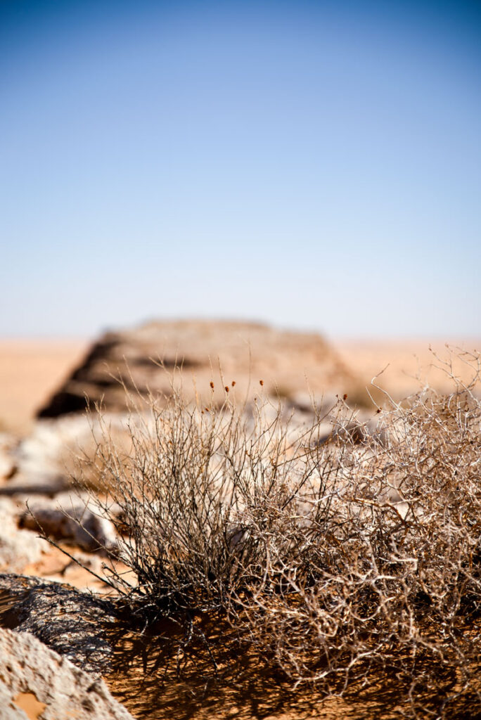 Trip to Sahara-Desert