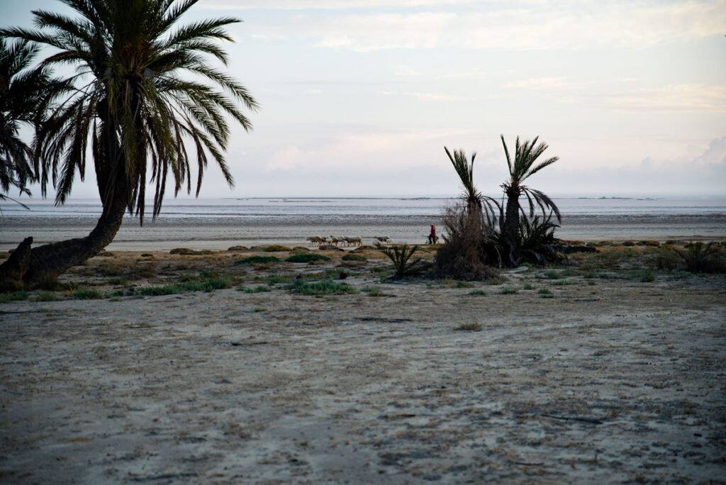 Camping at Sebkha Sidi El Hani