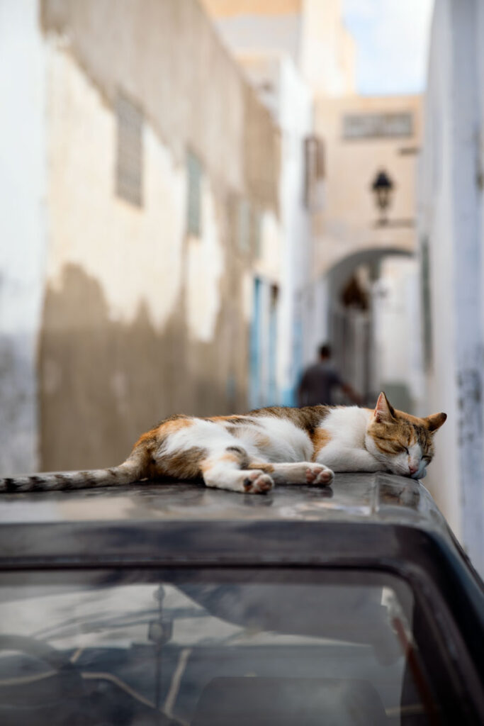Alleys of Kairouan