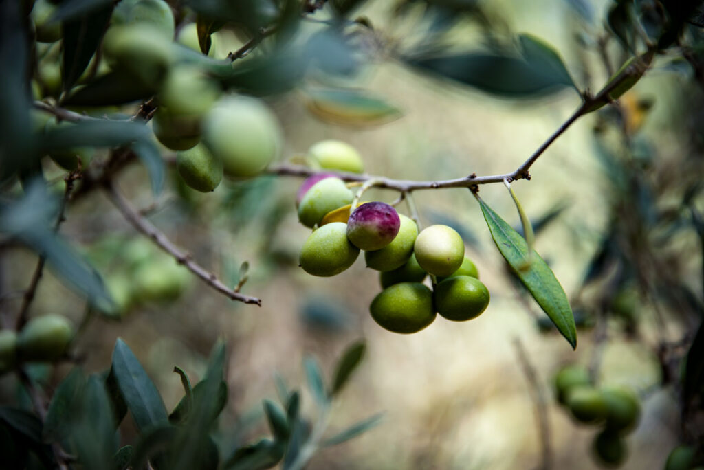 Arrived in Testour, Tunisia