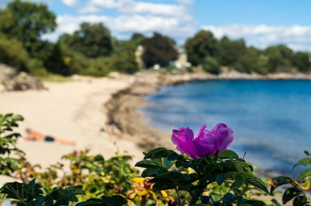 Salem Beach in Massachusetts