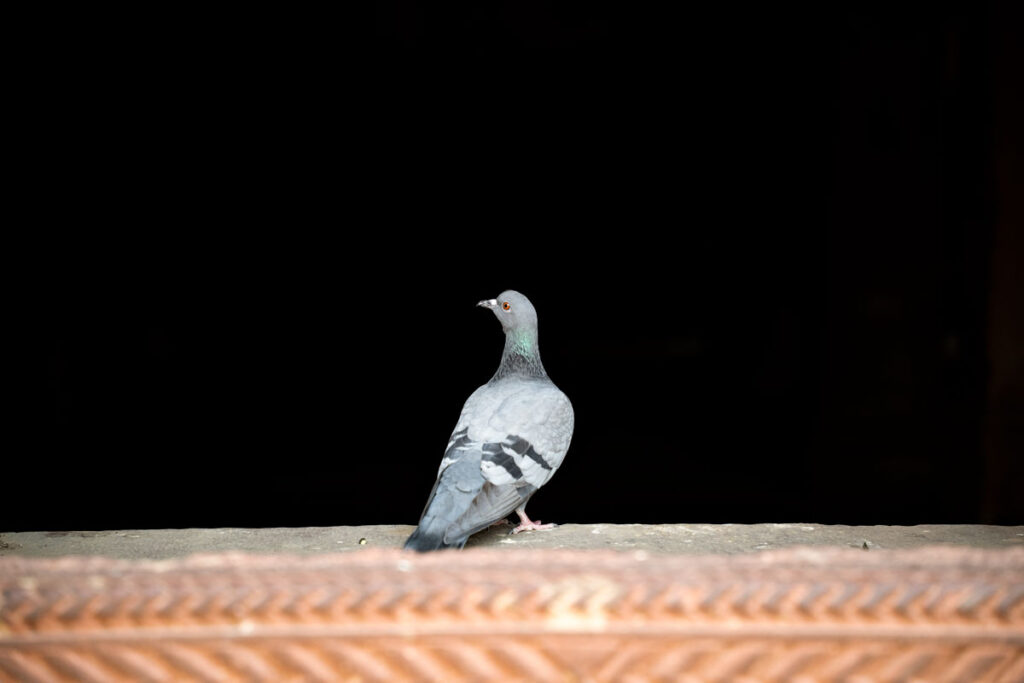 Fatehpur Sikri Fort