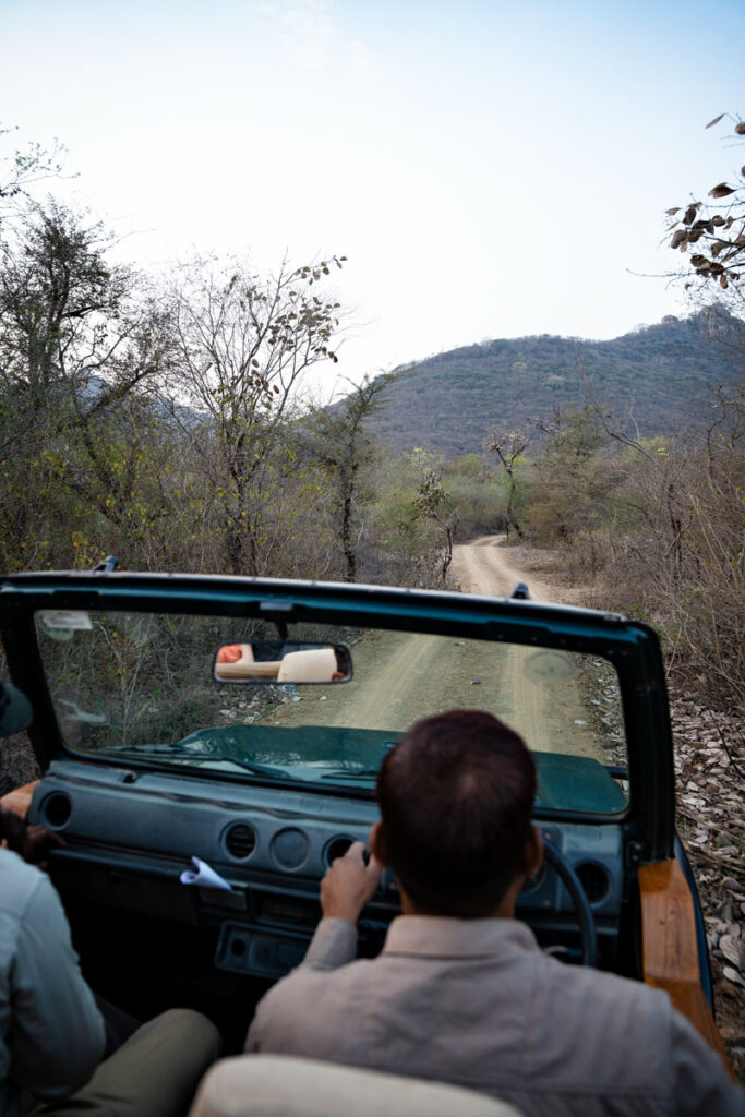 Ranthambhore-Nationalpark