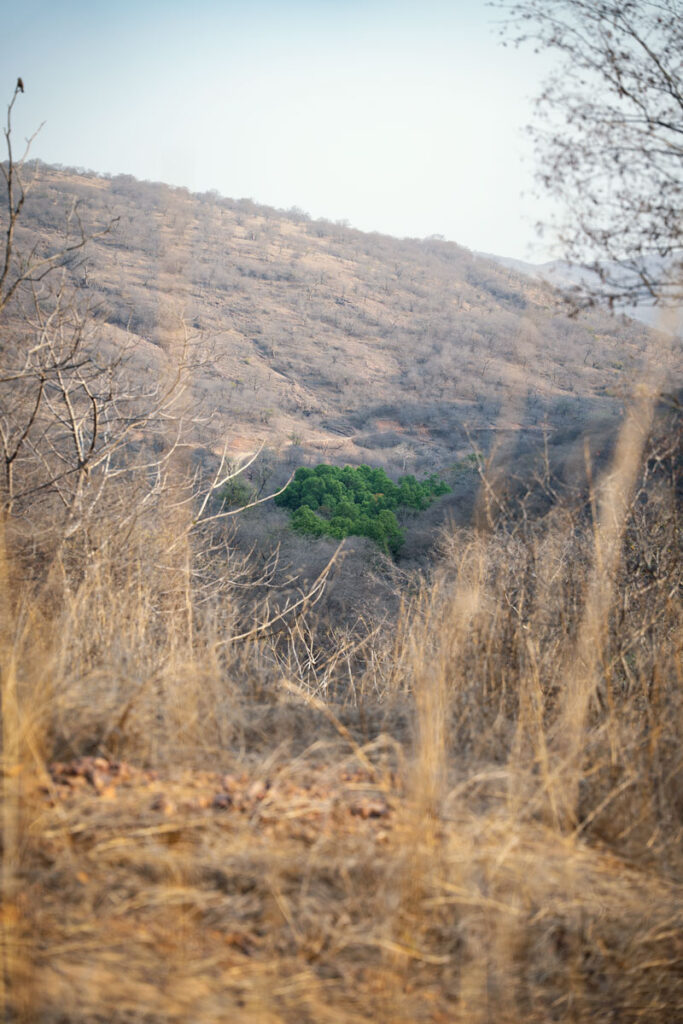 Ranthambhore-Nationalpark