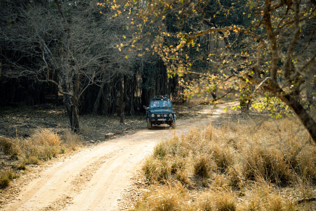 Ranthambhore-Nationalpark