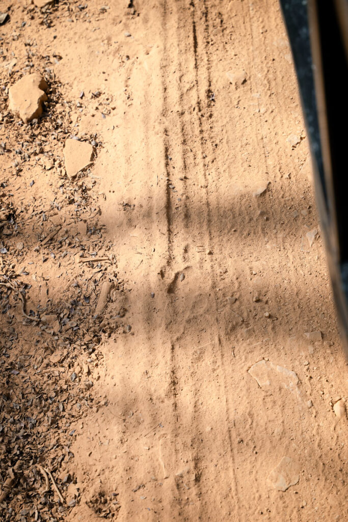 Ranthambhore-Nationalpark