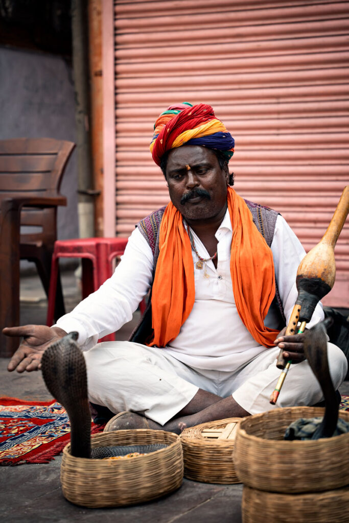 Snake Charmer in Jaipur