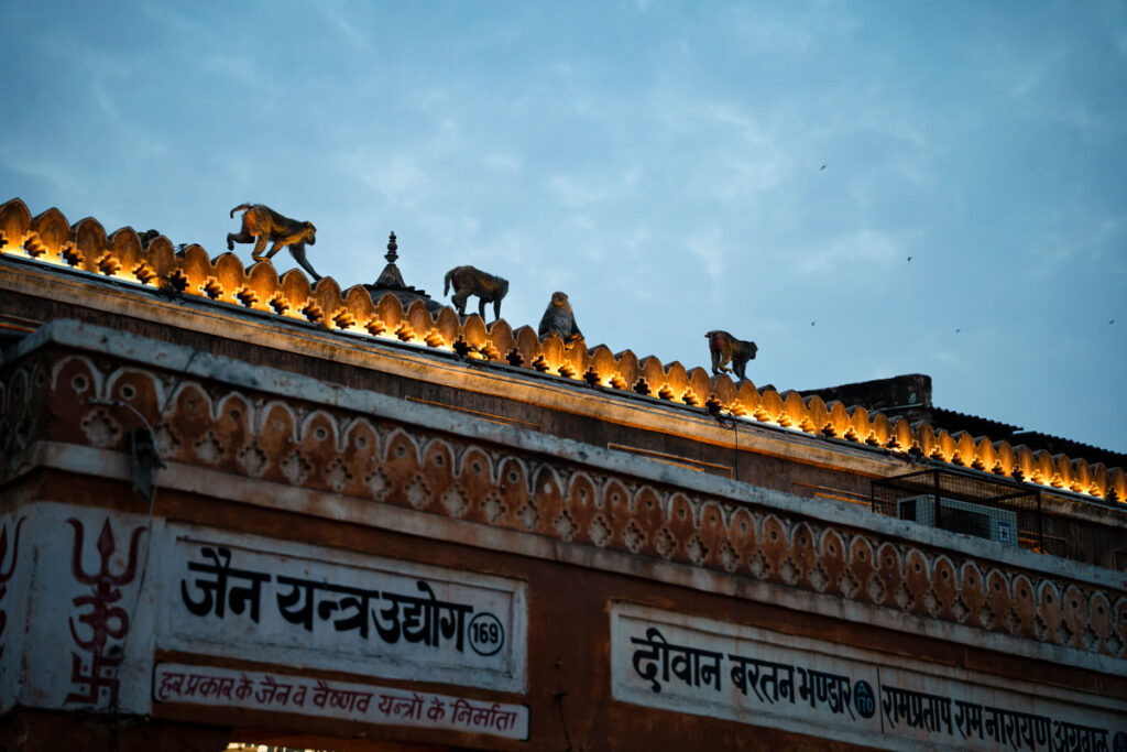 Evening in Jaipur