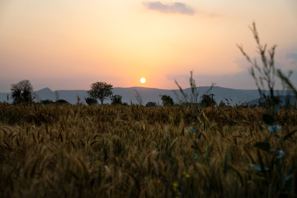 Fields around Alwar