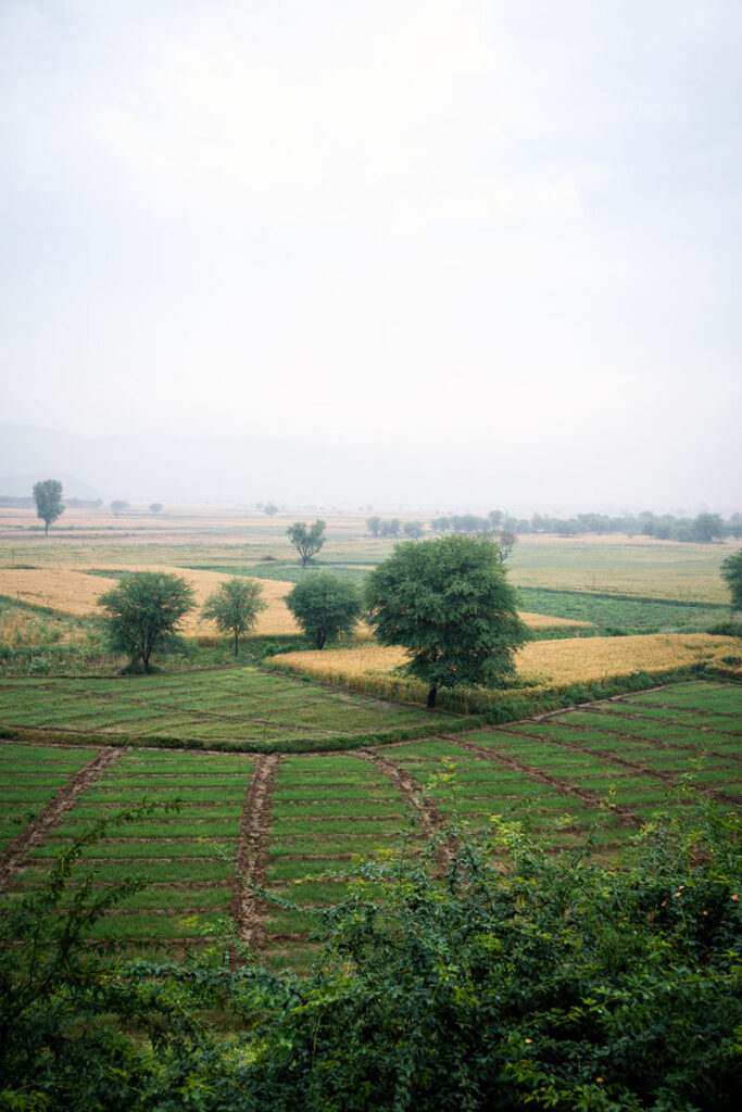 Jaisamand Lake