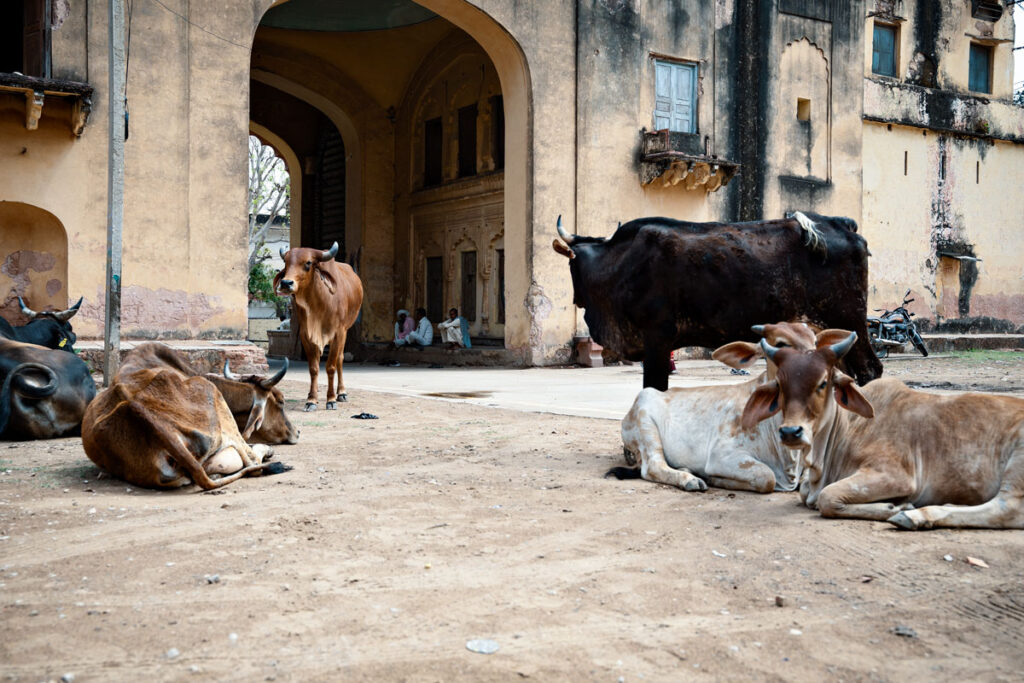 Rani Ka Mahal, Alwar