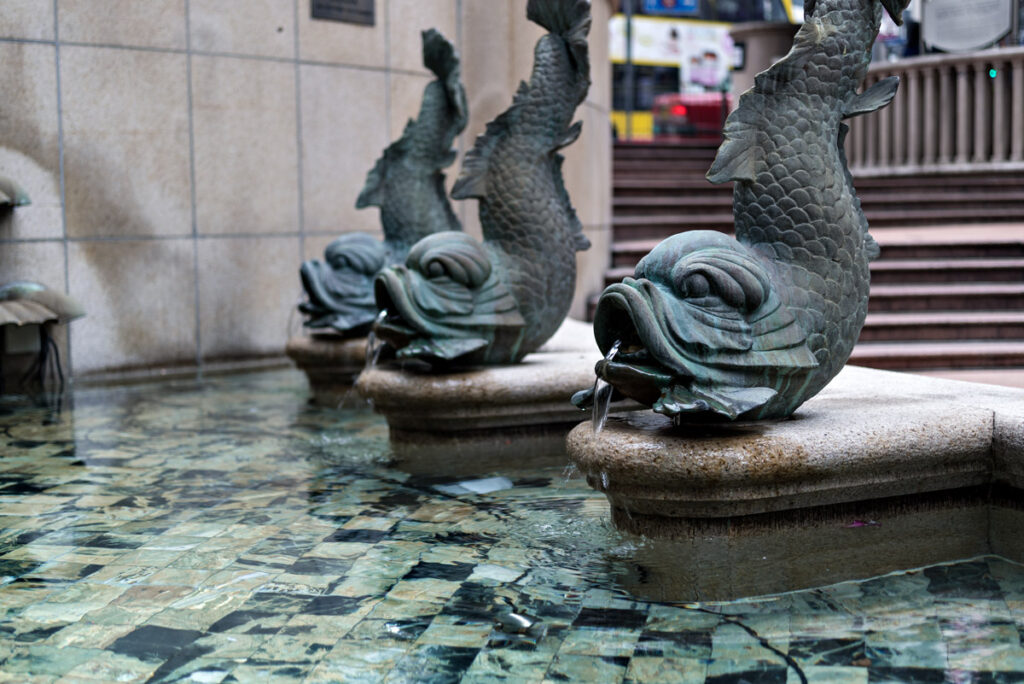 Fishes in Hongkong