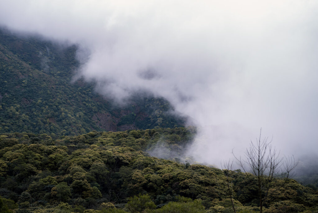 Fog is Crawling upon Lantau