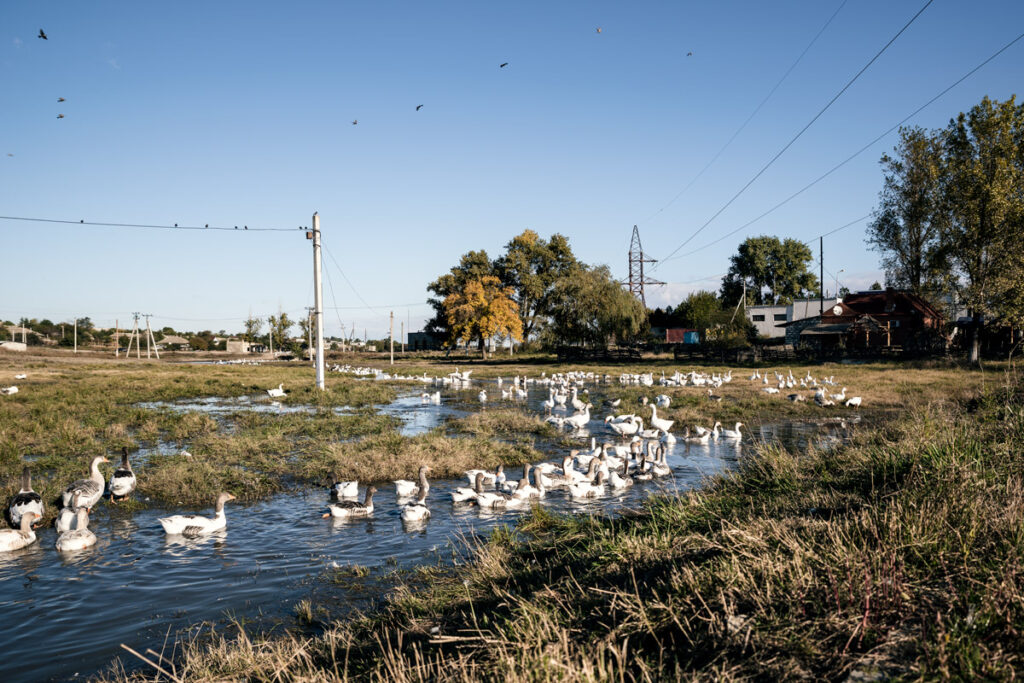 Landscape in Moldova