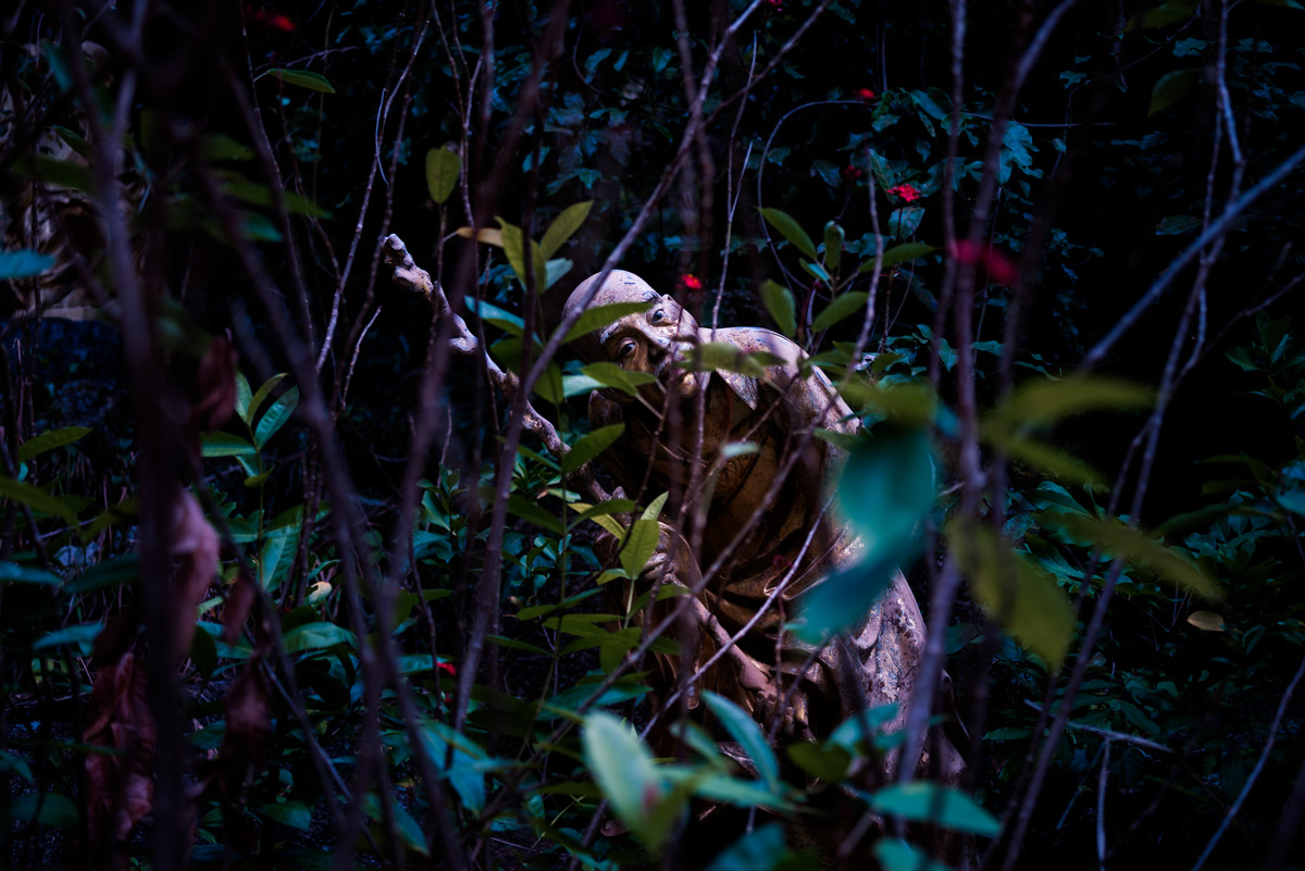 Statue in the Jungle