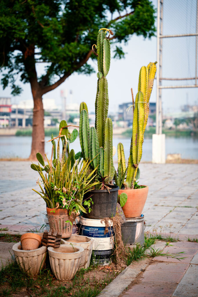 Floating Island Kad Nam in Tak